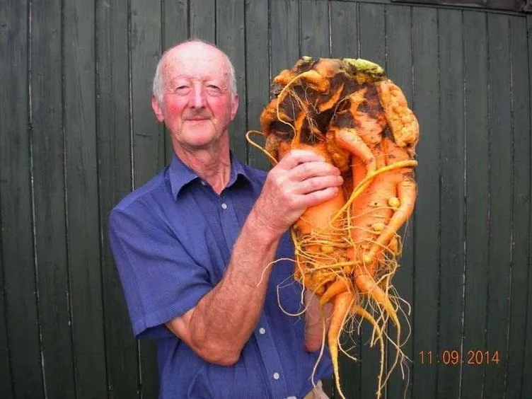 Dünyanın en büyük meyve ve sebzeleri