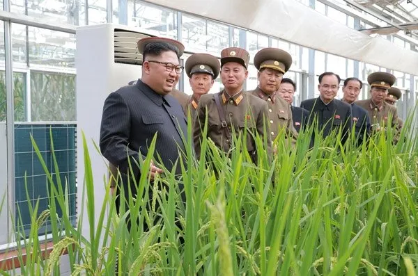 Kuzey Kore füzelerini taşıyor!