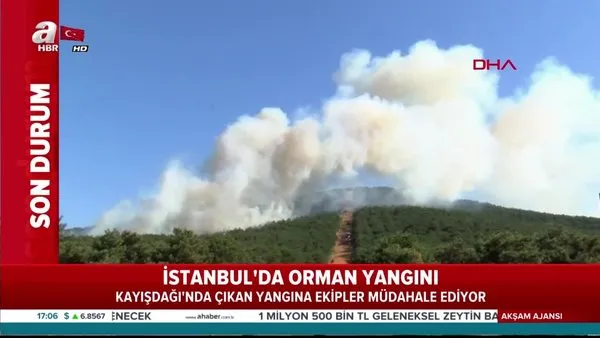 Son dakika: Ataşehir'de orman yangını! Ekipler müdahale ediyor | Video