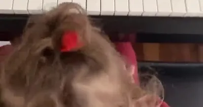 Ünlü şarkıcı Merve Özbey’in kızı Elif Özüm’ün ilk dersi | Video