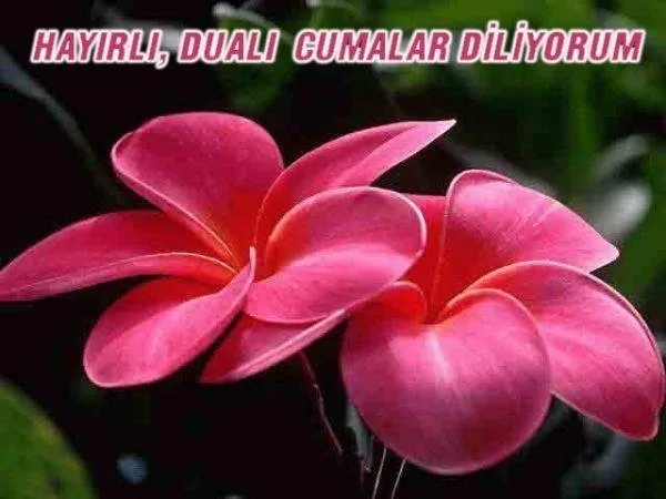 Sevdiklerinize gönderebileceğiniz en güzel cuma mesajları! İşte 2018 resimli cuma mesajları