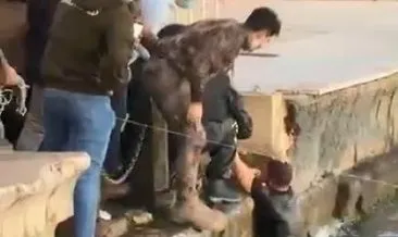 ruyada polis gormek ne anlama gelir haberleri son dakika ruyada polis gormek ne anlama gelir gelismeleri ruyada polis gormek ne anlama gelir haberleri son dakika ruyada polis gormek ne anlama gelir gelismeleri