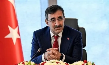Doğrudan yatırımlar % 46 arttı