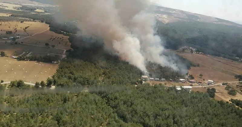 son dakika izmir de orman yangini son dakika haberler