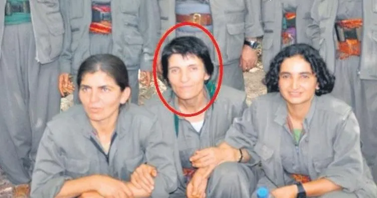 PKK’nın sözde sorumlusu etkisiz