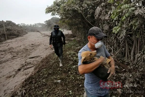Korkunç görüntüler ortaya çıktı