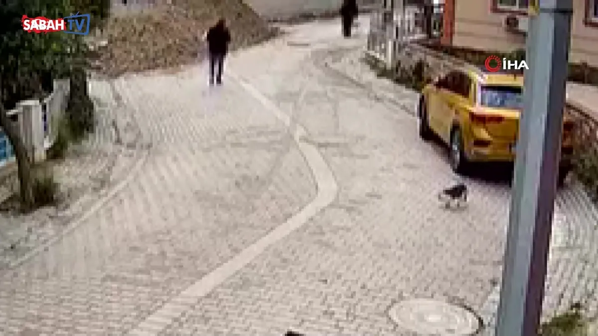 Avcılar'da 76 yaşındaki kadın açılan rögar kapağından 4 metre derinliğe düştü! O anlar kamerada
