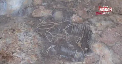 Mersin’de mağarada 8 bin yıllık kaya resimleri bulundu