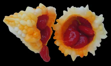 Kandaki zehri atan ilaç gibi besin...