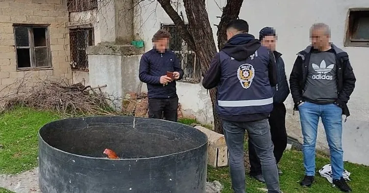 Alanya’da horoz dövüşüne polis baskını