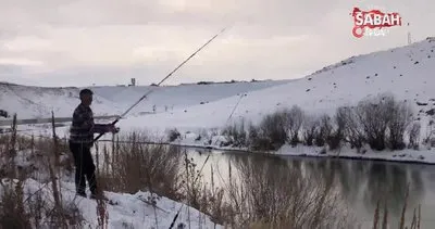 Kars’ta eksi 13 derece soğukta balık avı | Video