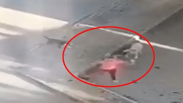 İzmir'de dehşet anları! Canını hiçe sayıp sokak köpeklerinin arasına dalan kadın kamerada | Video