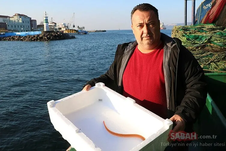 Çanakkale’de vatandaşları şaşkına çevirmişti! Türkiye'ye nereden geldi?