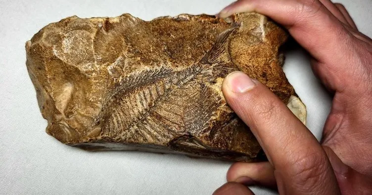 Adıyaman’da köyde bir vatandaş buldu! 15 milyon yıllık balık fosili müzede sergilenecek