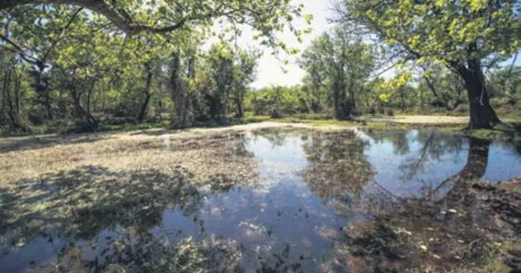 Recep İvedik 6’nın çekimleri başladı