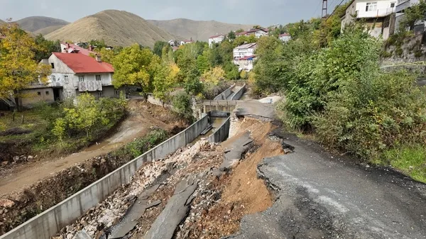 asiri-yagis-yolu-cokertti-facianin-esiginden-donuldu-1792321483317.jpg