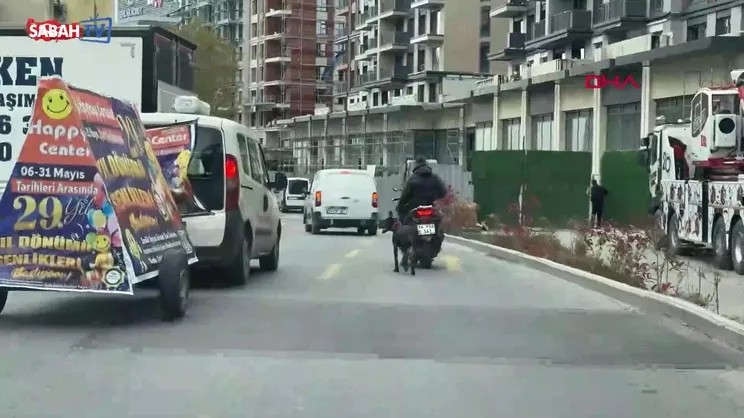 Motosiklete bağladığı köpeği metrelerce koşturdu! 8 bin 678 lira ceza kesildi