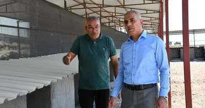 Siverek’te sahipsiz hayvanlar için kurulan doğal yaşam alanı tamamlandı #sanliurfa