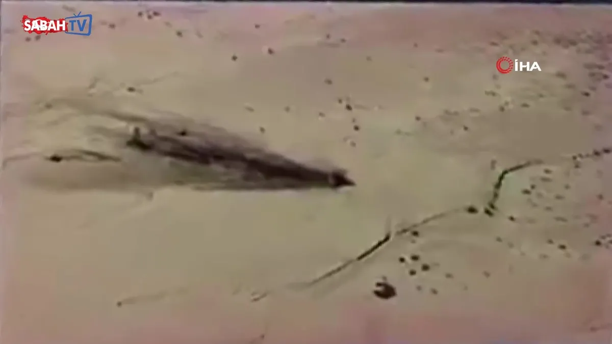 ABD'de F-16C savaş uçağı böyle düştü | Video videosunu izle | Son Dakika Haberleri