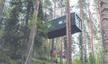 Hadi bir çılgınlık yapalım