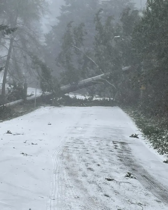 Bir haftadır etkili oluyor! ABD kabusu yaşıyor: 41 kişi hayatını kaybetti
