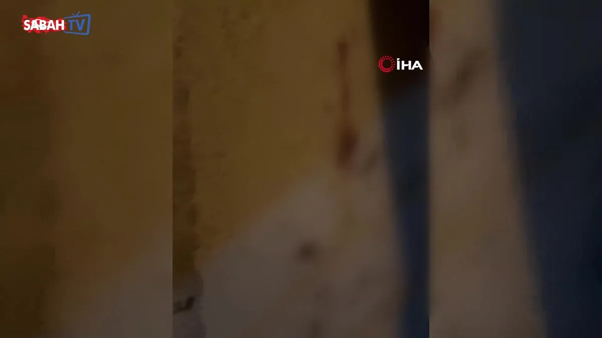 Şişli’de dehşet anları: İki grup arasındaki sopalı kavgada bir kişinin burnu kırıldı! | Video videosunu izle Şişli’de dehşet anları: İki grup arasındaki sopalı kavgada bir kişinin burnu kırıldı! | Video videosunu izle