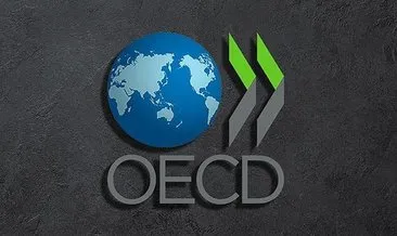OECD başekonomistinden dikkat çeken enflasyon açıklaması