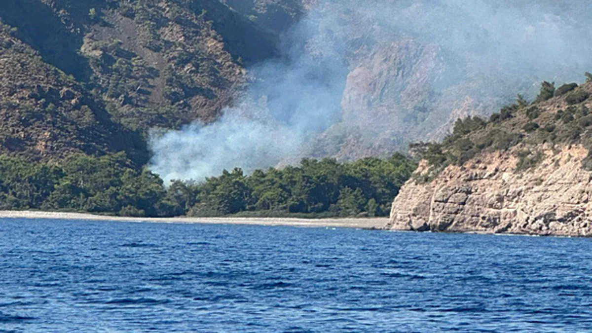 Datça’daki orman yangını şüphelisi tutuklandı Datça’daki orman yangını şüphelisi tutuklandı