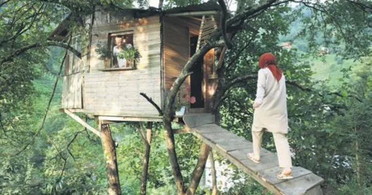 Ağaç üstündeki ev, yaşam alanları oldu