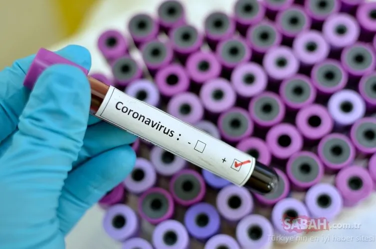 Koronavirüs hakkında az bilinen gerçekler... Corona virüste bu hatayı sakın yapmayın!
