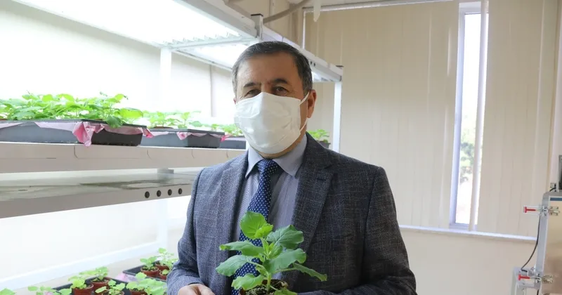 akdeniz universitesi nden mujdeli haber