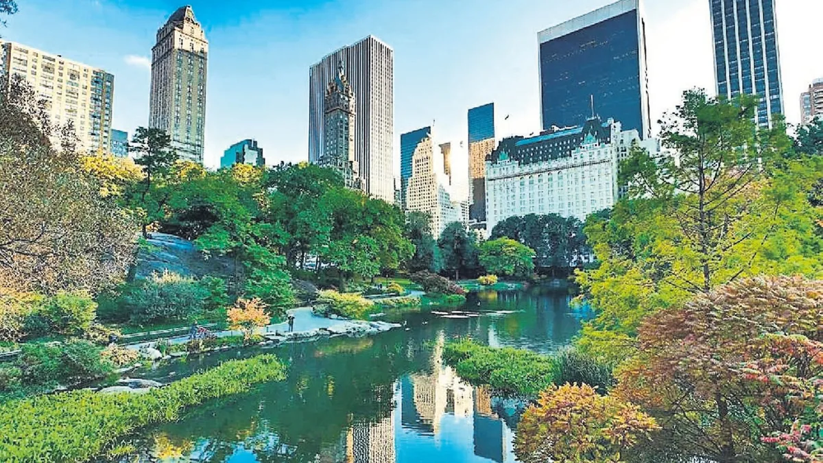 Sürdürülebilir şehirleri tasarladılar