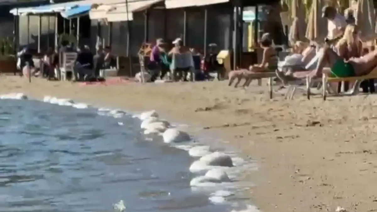 Bodrum’da çevre skandalı…Sahil atıkla kaplandı Bodrum’da çevre skandalı…Sahil atıkla kaplandı