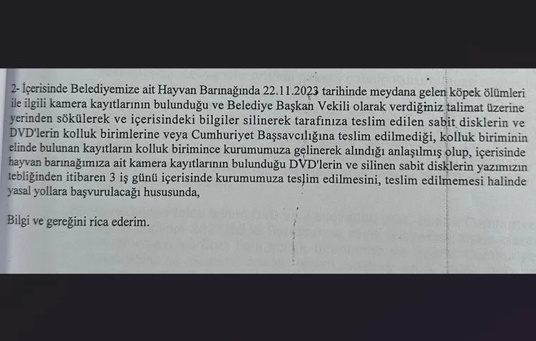 SON DAKİKA | CHP’li belediyenin köpek katliamıyla ilgili şok gelişme! Skandal gerçek ortaya çıktı