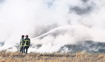 Fransa’da 225 hektar kül oldu