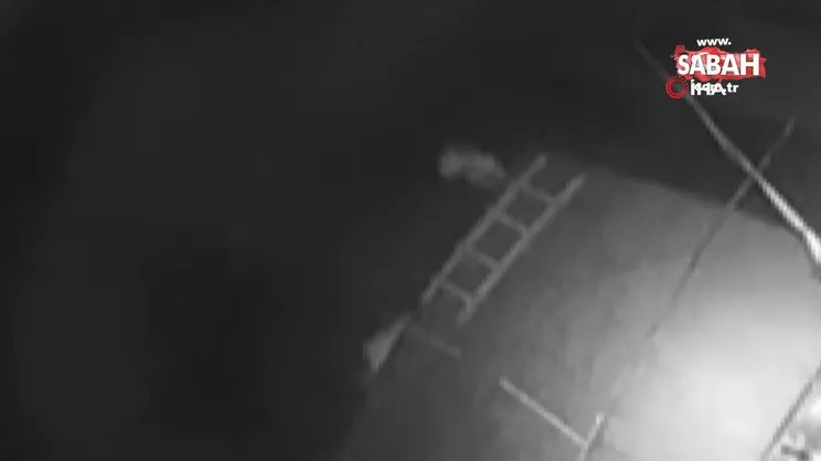 Bursa'da çiftçileri canından bezdiren tarla hırsızları kamerada | Video
