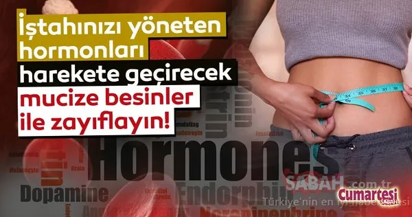 İştahınızı yöneten hormonları harekete geçirecek mucize besinler ile zayıflayın!