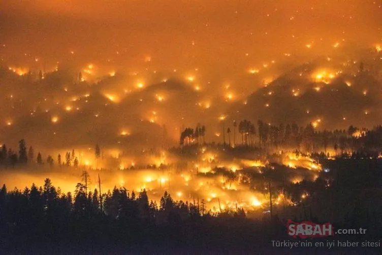 California’daki orman yangınlarında bilanço ağırlaşıyor