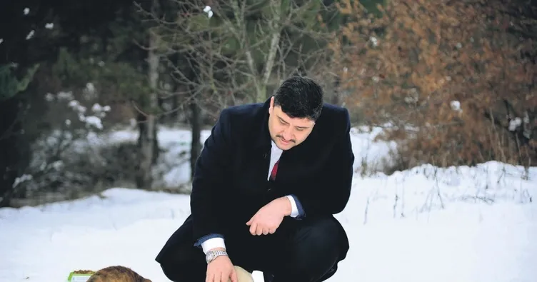 Can dostlar emin ellerde