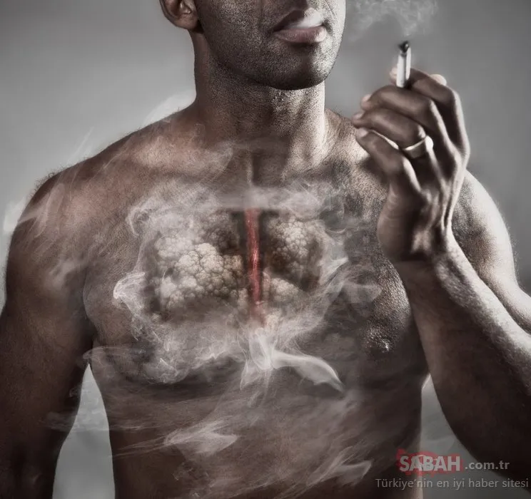 Sigara, yılda 6 milyon kişiyi öldürüyor!