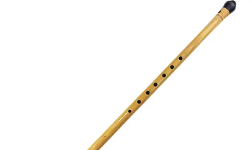 Rüyada kaval görmek ne anlama gelir?