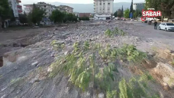 Depremde çöken kuruyemiş dükkanı enkazında kalan ayçiçekleri boy verdi | Video