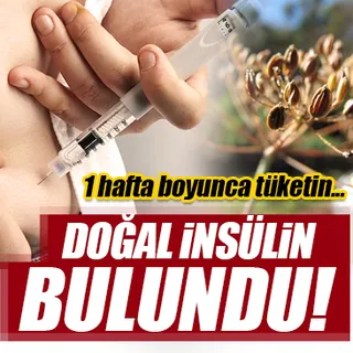 Bu besin doğal insülin çıktı! Mucizevi şekilde şeker hastalığını önlüyor!