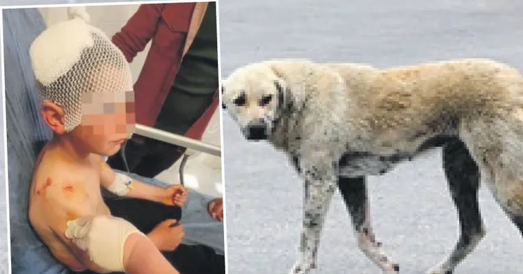 Dehşetin adresi bu kez Isparta oldu