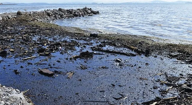 16 bin bilim insanından çevre felaketi uyarısı