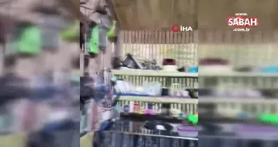 Filipinler’de 6.8 büyüklüğünde deprem | Video