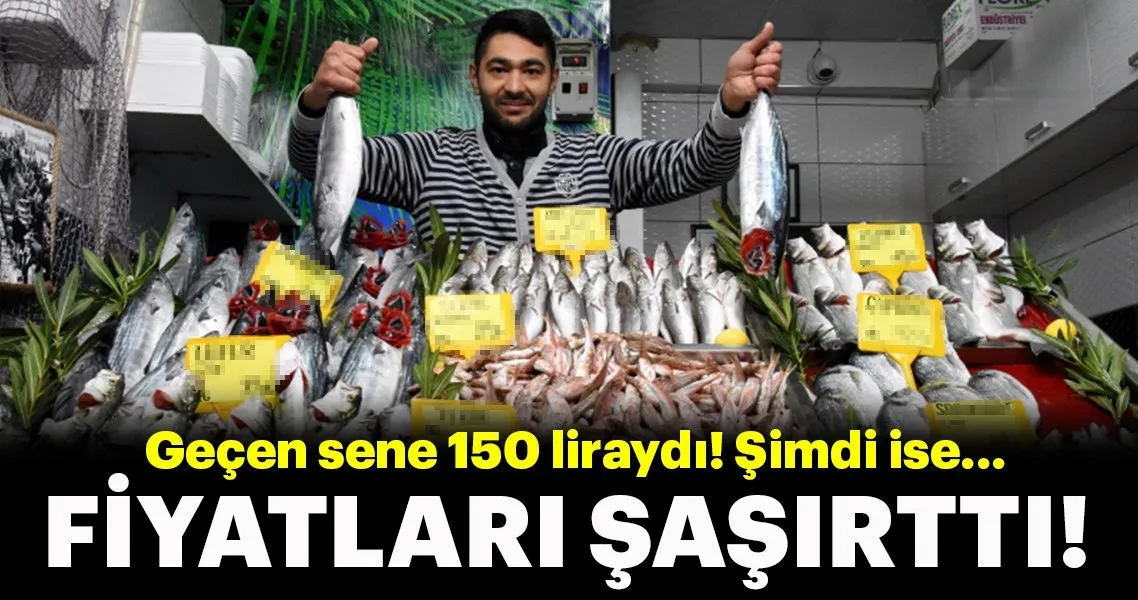 palamut ve lufer fiyatlari sasirtti son dakika haberler