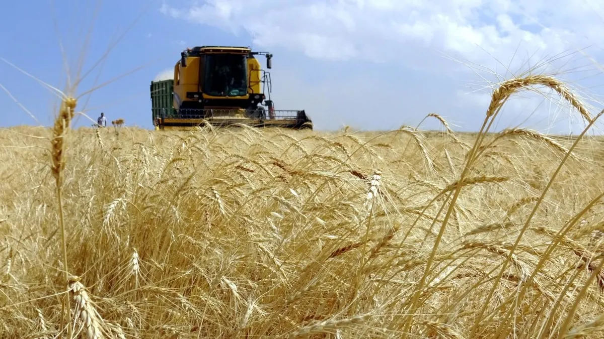 TARSİM 478 bin hasar ihbarı aldı: Tarımda 1,5 trilyon TL'lik güvence