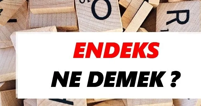 Endeks Ne Demek? TDK Anlamına Göre Endeks Sözlük Anlamı Nedir?