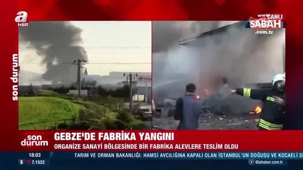 Kocaeli Gebze’de fabrika yangını! Bölgeye çok sayıda itfaiye ekibi sevk edildi | Video